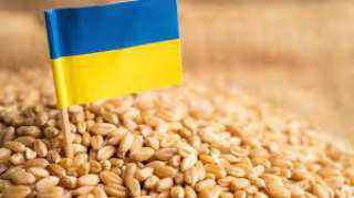 صادرات الحبوب الأوكرانية تسجل 39.2 مليون طن خلال الموسم الجاري