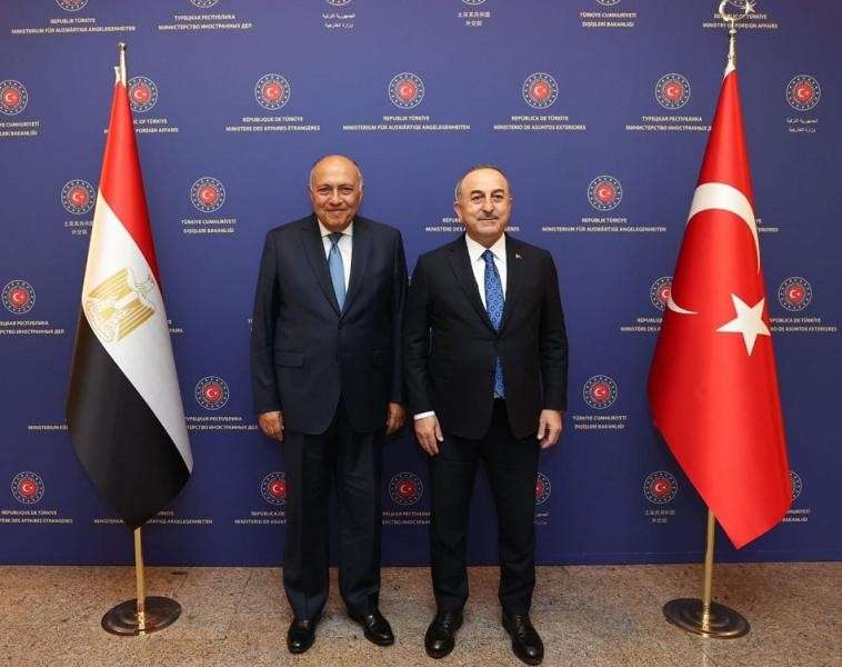 وزيرى خارجية مصر وتركيا