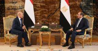الرئيس السيسى يستقبل رئيس مجلس القيادة الرئاسي بالجمهورية اليمنية