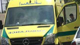 إصابة طالبة صدمتها سيارة أثناء عبورها الطريق بقرية الروضة فى المنوفية
