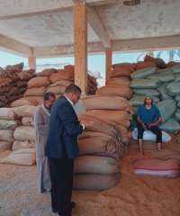 استمرار الإشراف الميداني على انتظام عمليات توريد القمح بالفشن