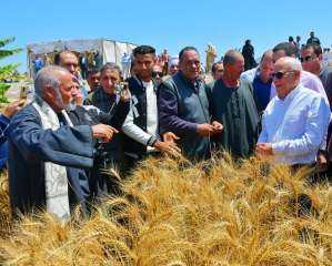محافظ بورسعيد يشهد حصاد محصول القمح بشرق بورسعيد بمنطقة سهل الطينة