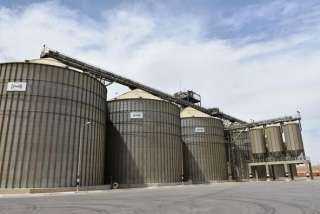محافظ أسوان : توريد 73  % بواقع 140 ألف طن من محصول القمح