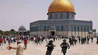 فلسطين تدين اقتحام الوزير الإسرائيلى ايتمار بن غفيرالمسجد الأقصى