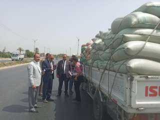 نائب محافظ المنيا: ضبط عدد من السيارات المحملة بـ 98 طن من محصول القمح بهدف الاحتكار بمراكز ملوي