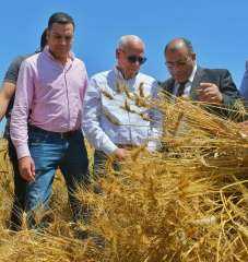محافظ بورسعيد :  توريد 100% من محصول القمح للموسم 2023 بمحافظة بورسعيد