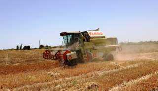 محافظ أسوان : توريد 174 ألف طن و 338 كجم من المستهدف لكميات القمح لموسم الحصاد