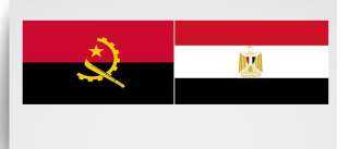 المركزى للإحصاء: ارتفاع تحويلات المصريين بأنجولا بنسبة 45.3%