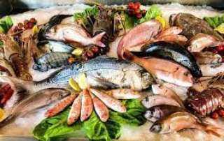 نرصد أسعار الأسماك  في سوق العبور اليوم