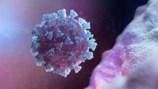 الصحة: لا توجد فيروسات عالمية منتشرة عقب فيروس كورونا حتى الآن