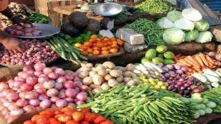 أسعار الخضراوات أول أيام عيد الأضحى المبارك..  البامية تسجل 50 جنيهًا في الأسواق