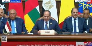 الرئيس السيسي: مشاهد الخراب والدمار والقتل فى السودان تدمى قلوب المصريين