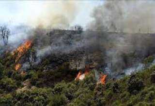 الداخلية الجزائرية: حرائق الغابات تودي بحياة 15 شخصا