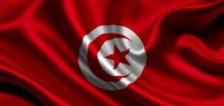 برلمانيون تونسيون: مصر كانت كلمة السر في إسقاط إخوان تونس