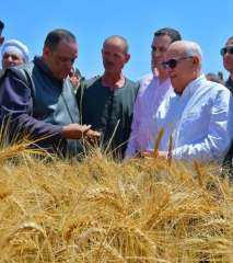محافظ بورسعيد : استمرار التوسع في زراعة المحاصيل الإستراتيجية الصيفية بمنطقة سهل الطينة
