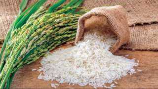 البنك الدولي: أسعار الأرز تواصل ارتفاعها في منطقة شرق آسيا والمحيط الهادئ
