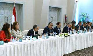 وزراء الكهرباء والبترول والتخطيط يستعرضون إمكانات وخطط إنتاج الطاقة المتجددة والهيدروجين الأخضر في مصر