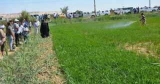 ‫الرى: منع الزراعات المخالفة والشرهة لاستهلاك المياه في المناطق الساخنة