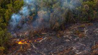 حصيلة حرائق الغابات في هاواي ترتفع إلى 99 قتيلًا