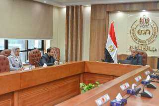 رئيس هيئة الدواء المصرية يترأس الاجتماع الافتراضي الأول لمجموعة العمل المصرية الجنوب أفريقية المشتركة