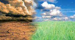 ”الزراعة”: الدولة تعمل على تحقيق الأمن الغذائي رغم التغيرات المناخية