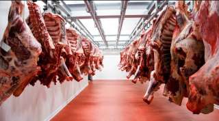 أسعار اللحوم البلدي فى الاسواق اليوم الخميس