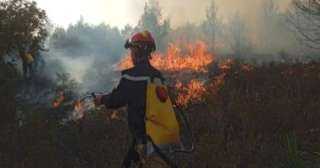 إندونيسيا تنشر 130 فردا لإخماد حرائق الغابات بجبل لاو بمقاطعة جاوة الشرقية
