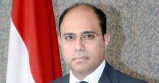 متحدث وزارة الخارجية: البعثات المصرية بالخارج بمثابة لجان انتخابية