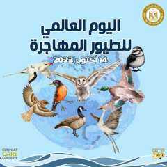 مصر تشارك دول العالم الاحتفال باليوم العالمى للطيور المهاجرة