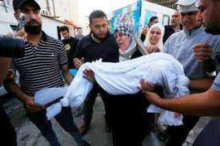 ارتفاع عدد ضحايا العدوان الإسرائيلى على غزة لـ 2450 شهيدا و9200 جريح