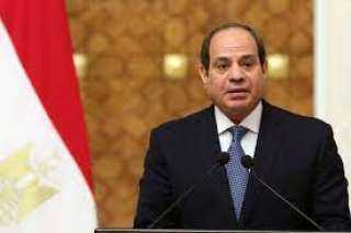 العربى للعدل والمساواة: نصطف خلف الرئيس السيسى ونفوضه من أجل الأمن القومى المصرى