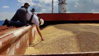 ارتفاع صادرات الحبوب الأوكرانية عبر ممر البحر الأسود