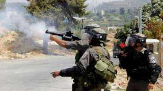 الاحتلال الإسرائيلي يطلق الرصاص صوب المزارعين في قرية زبوبا غرب جنين