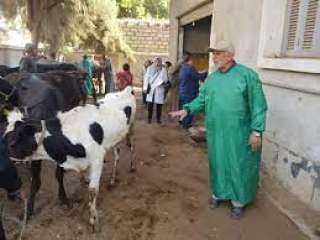 وزارة الزراعة تنظم ندوات إرشادية لمربي الماشية لحمايتها من الأمراض والأوبئة