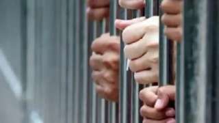 تجديد حبس المتهمين بالاتجار في الإستروكس والبودر المخدر بالمعصرة