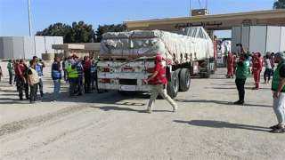 مصر تواصل جهودها لإيصال المساعدات الإنسانية إلى غزة