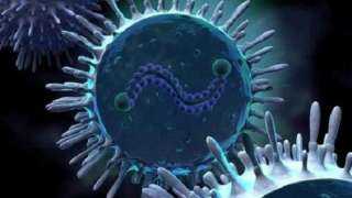 «الصحة» تحذر: الفيروس التنفسي المخلوي يصيب جميع الأعمار