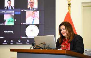 وزيرة الهجرة تعقد لقاء مع رموز وممثلي الجاليات المصرية في عدة دول لمتابعة مستجدات العملية الانتخابية