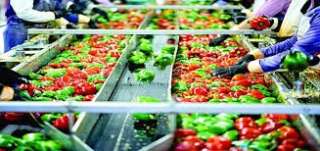 غرفة الصناعات الغذائية: اهتمام دولي بالاستثمار في مصر في قطاع الصناعات الغذائية