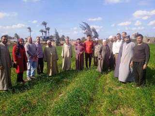 زراعة الشرقية تُنفذ مدرسة حقلية لمزارعي قرية بني أيوب بأبو حماد