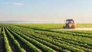 حصاد وزارة الزراعة في 2023.. . زيادة الرقعة الزراعية بأكثر من 3,5 مليون فدان