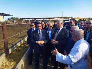 وزيرا التنمية المحلية و الزراعة ومحافظ بورسعيد يتفقدون محطة تسمين الماشية و المجزر الآلي ببورسعيد