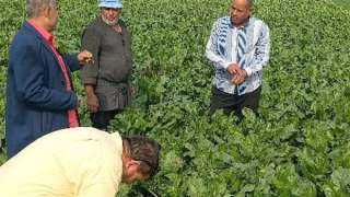 الزراعة : مصر الأولى عالميًا للعام الرابع على التوالي في تصدير الموالح