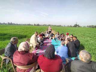 الزراعة : حصاد الفرق الإرشادية الريفية للمحاصيل الشتوية في 13 محافظة  بمشاركة