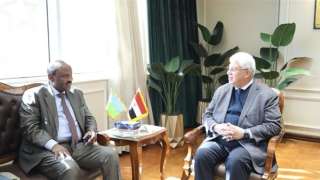 وزير التعليم العالي يستقبل سفير جيبوتي لبحث سبل التعاون الأكاديمي والبحثي