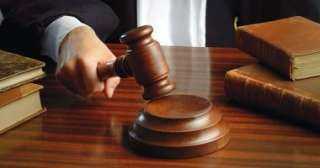 تأجيل محاكمة المتهمين بخطف طفلتين من أنسانسر بمدينة نصر لـ7 فبراير