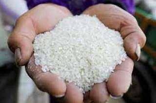 ارتفاع سعر الأرز في السوق المصرى اليوم