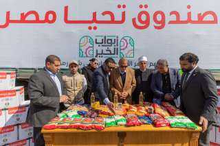 صندوق تحيا مصر يوفر 413 طن مواد غذائية لـ  170 ألف مواطن أولى بالرعاية  في محافظة القليوبية