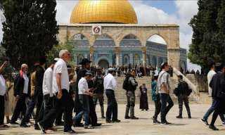 مستوطنون يقتحمون المسجد الأقصى بحماية قوات الاحتلال الإسرائيلى