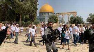 مستوطنون يقتحمون المسجد الأقصى بحماية شرطة الاحتلال الإسرائيلى